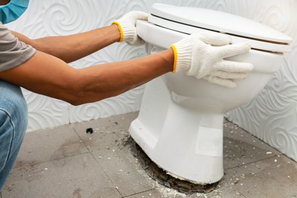 Cost of Toilet Removal in Little Elm